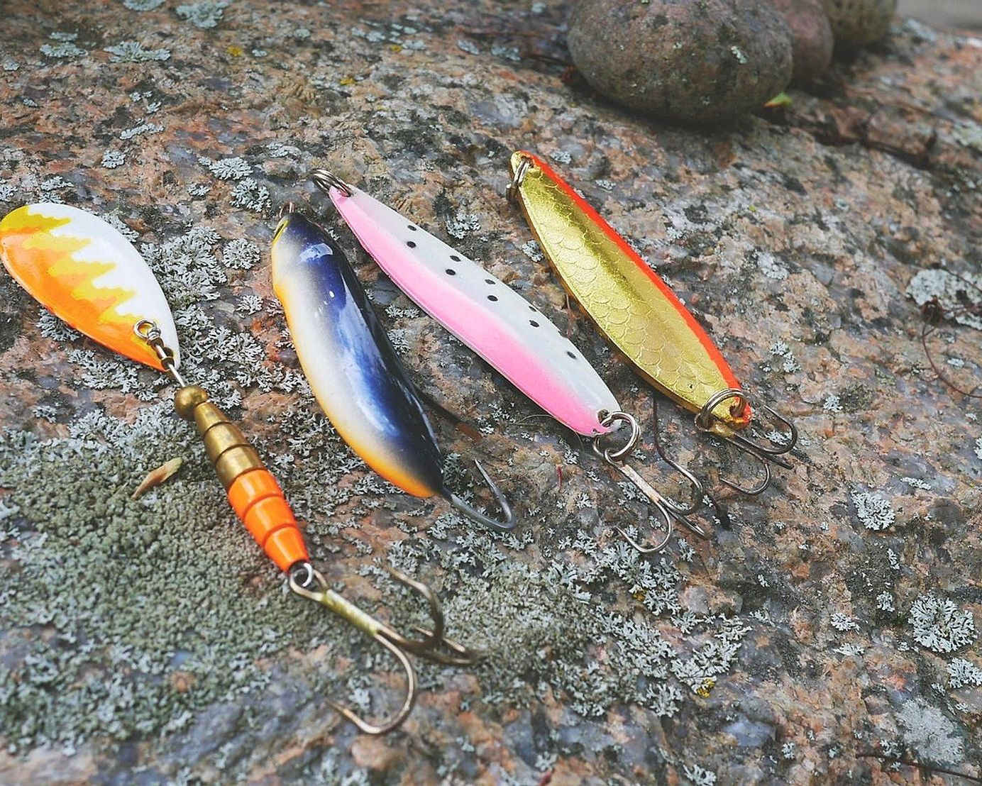 Lakeside fishing spot
