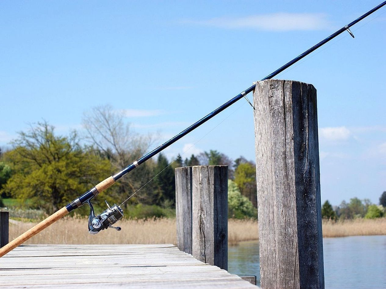 Setting the Hook: Critical Moments in Bass Fishing Success