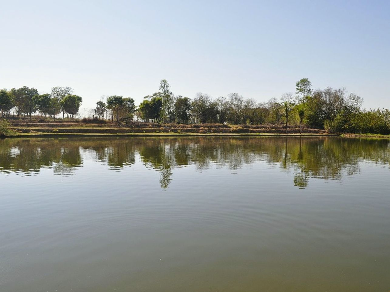 Artificial Lure Maintenance Tips